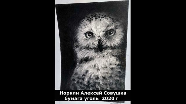 лесной аукцион23 Чусовая 9 07 2023 г смотреть онлайн