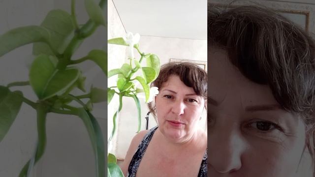 #shorts Радуйтесь простым вещам смотреть онлайн