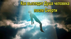 Как выглядит Душа человека после Смерти - онлайн семинар