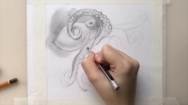 Рисуем осьминога простым карандашом! смотреть онлайн