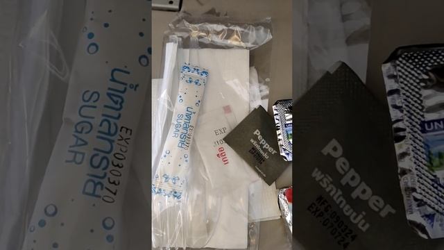 Обед #2 в самолете летим из Пхукета. Таиланд 2024 за 50 тысяч рублей с перелетом. @tutsi-dieti смотреть онлайн