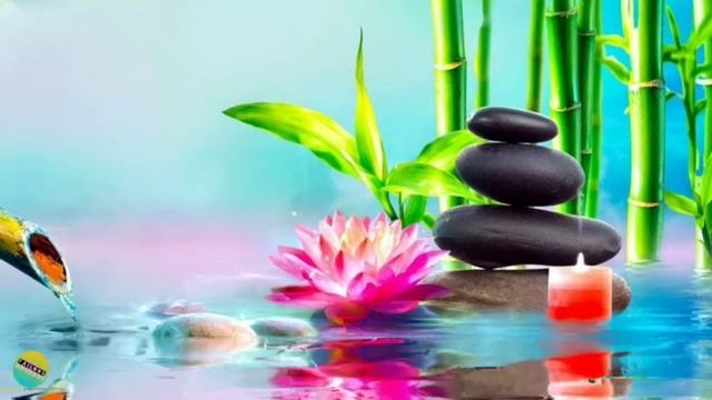 Relaxation Songs, Stress Relief Songs, Lullabies To Sleep, Spa Songs, Beautiful Nature Sounds.