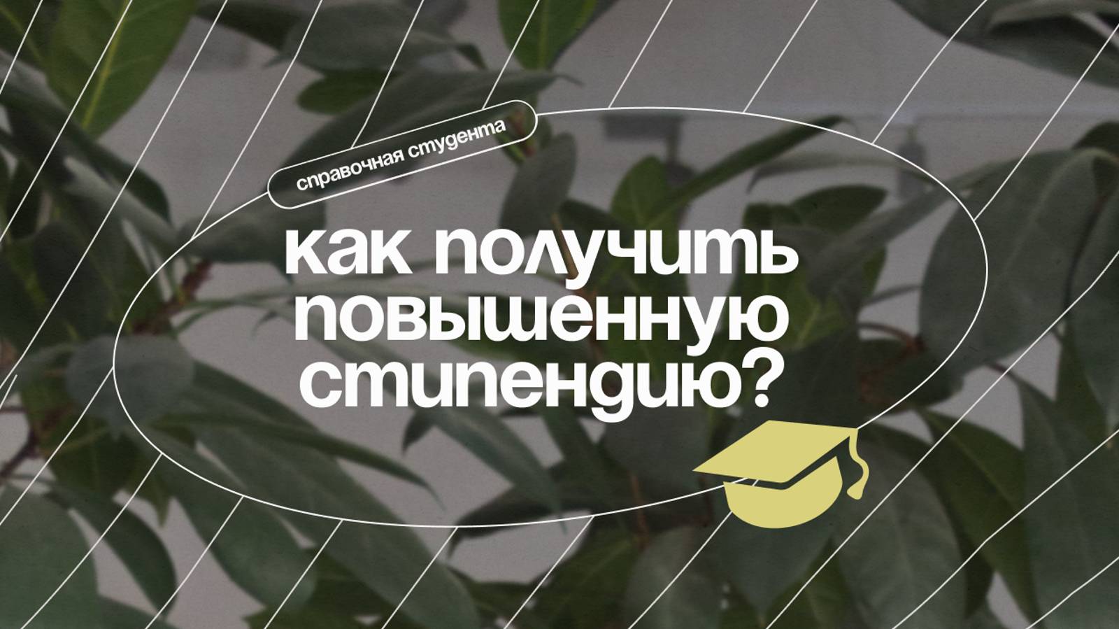 Как получить повышенную стипендию? | Виды стипендий