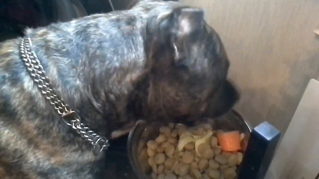 Завтрак ,,Гросса,, смотреть онлайн