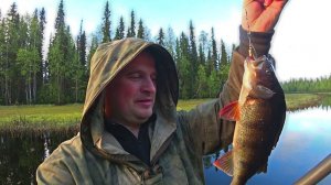 Копчу рыбу на даче! Рыбалка на торфяном озере.