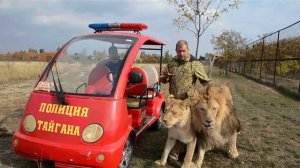 ТАНЦУЮЩИЙ ЛЕВ МАРСЕЛЬ ! Ролик подписчика !