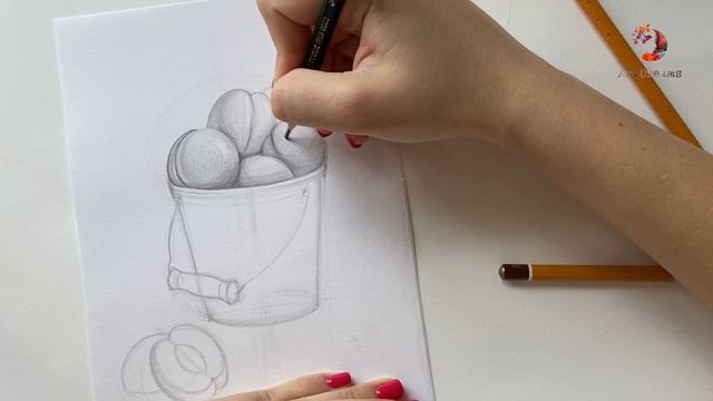Рисуем Абрикосы в Ведерке Простым Карандашом! смотреть онлайн