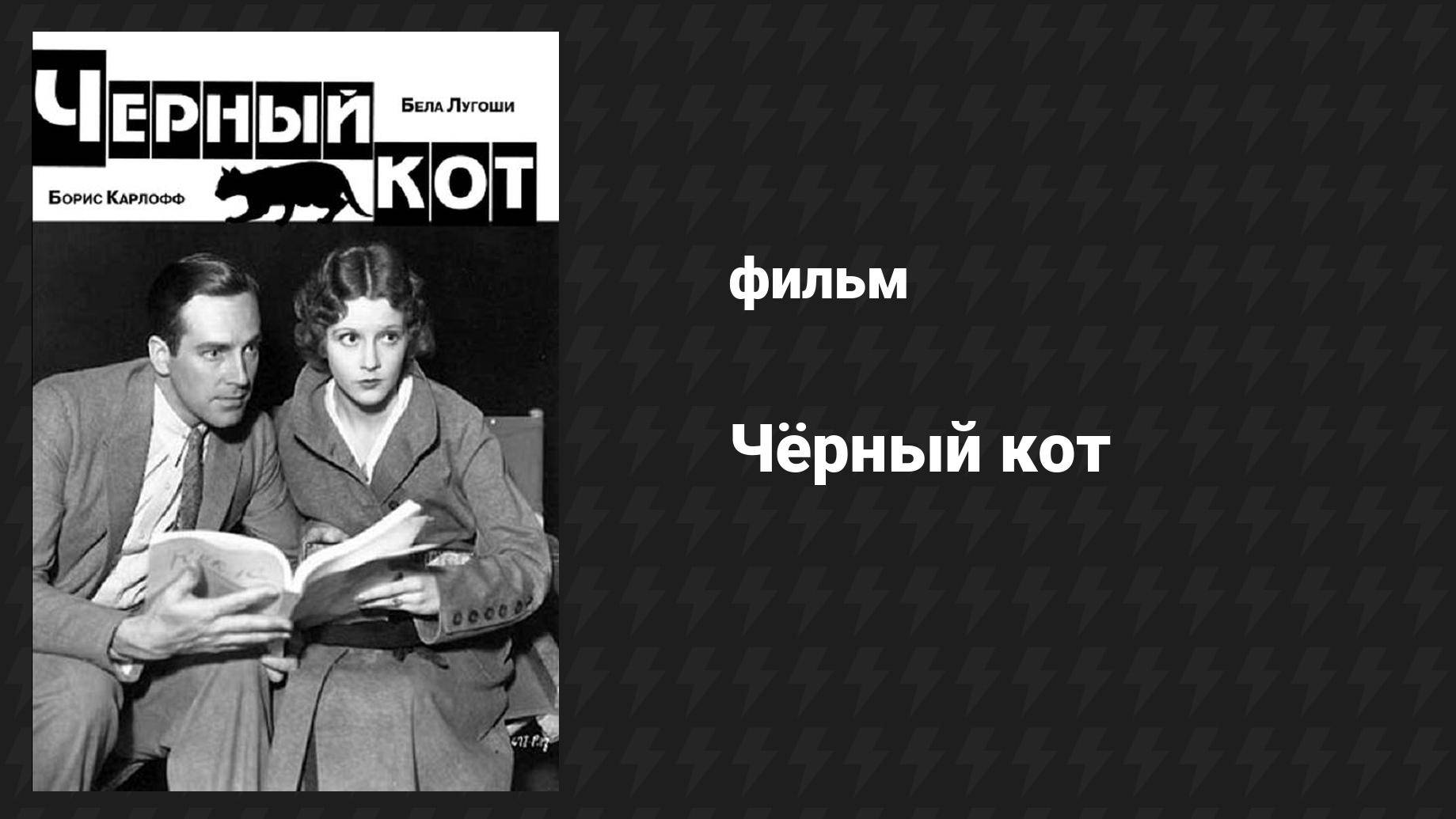 Чёрный кот (фильм, 1934) смотреть онлайн