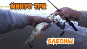 Наноколебалки в прибрежных корягах - голавль на спиннинг ультралайт