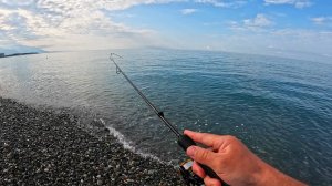 Морская рыбалка. Сочи . Пробный выход. Рокфишинг.