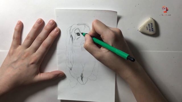 Рисуем зайчика карандашом! смотреть онлайн