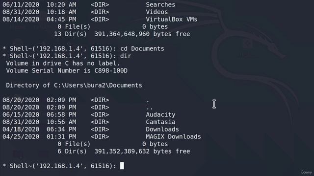 49 Command Testing Mastery： Comprehensive Testing of All Commands with Python смотреть онлайн