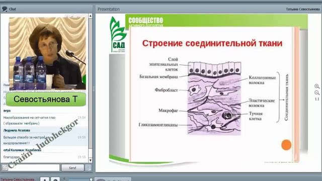 САД Рекомендации по применению флуревитов 18 Ответы Севостьяновой Т на вопросы смотреть онлайн