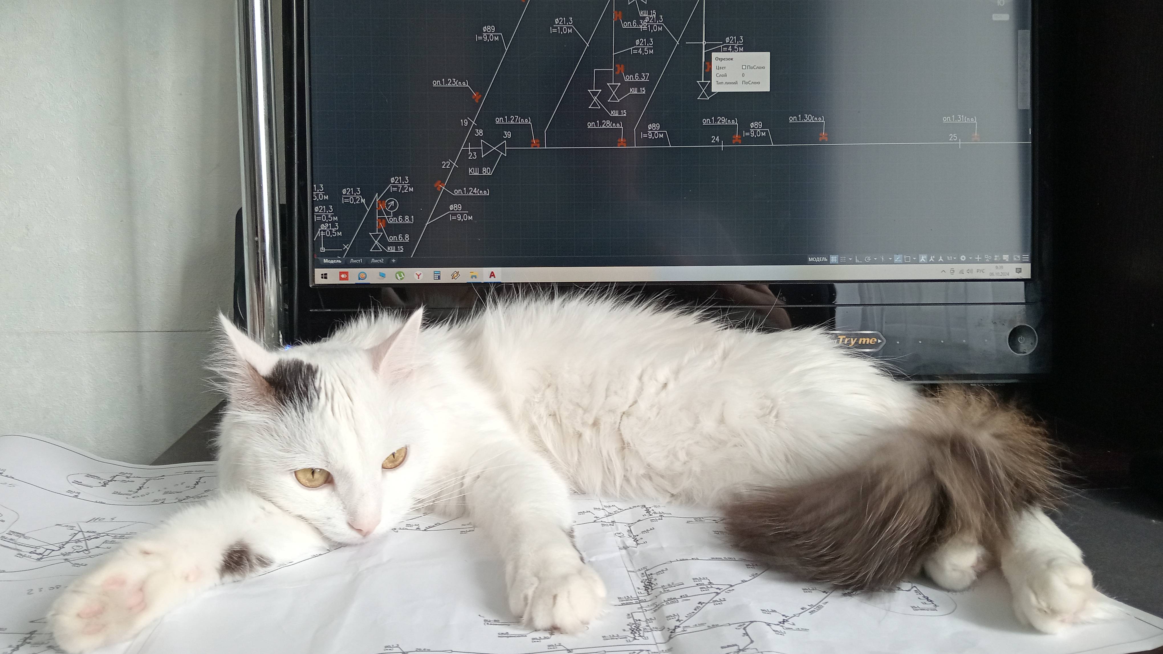 Побыть с Влашичем смотреть онлайн