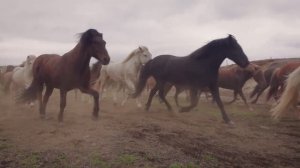 Без меня. Егор Летов