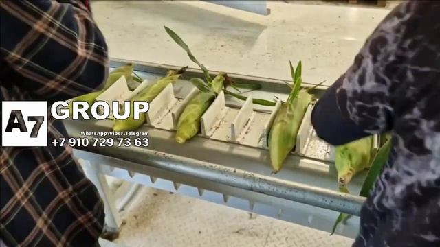 Кукуруза початки:обрезка, очистка #кукуруза #очистка