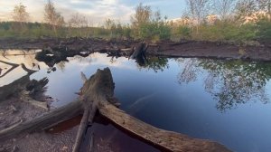 Южские топи: Пестовское болото.