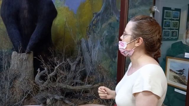 Экскурсия в краеведческий музей смотреть онлайн