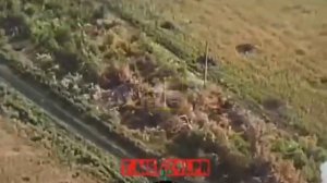 Мы вернемся