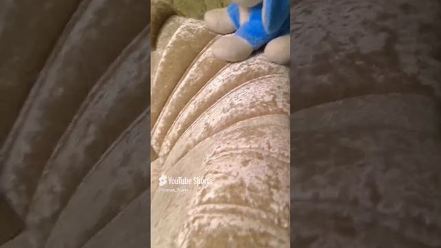 Гонки за котом 🤣 #shorts смотреть онлайн