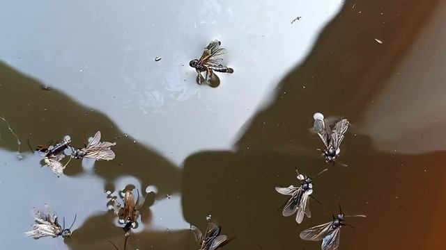 Моё сорок восьмое лето. Часть вторая смотреть онлайн