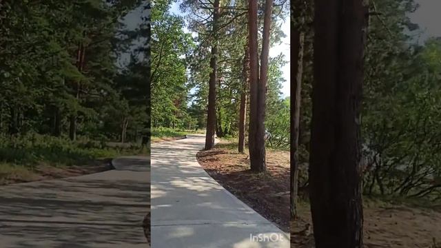 Пляж ,, Ласковый ", Финский залив, июль 2024 смотреть онлайн