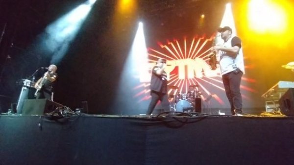 Биртман - Котоход