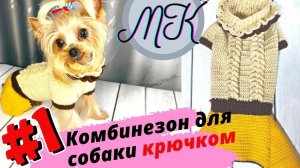 Комбинезон для собаки крючком - 1 серия