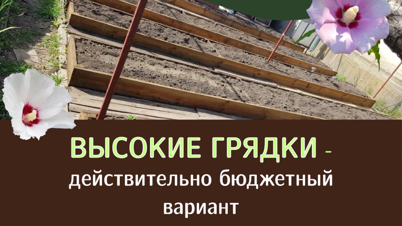 Как сделать высокие грядки из досок своими руками. Самый недорогой вид. Защита досок от насекомых