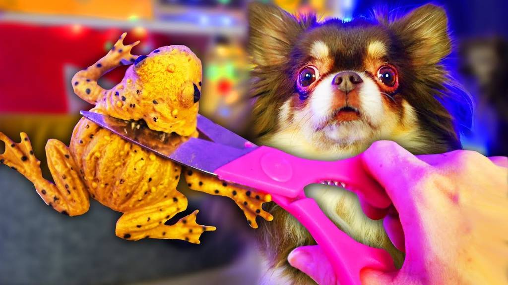 ЧТО ВНУТРИ АНТИСТРЕСС ИГРУШЕК? РЕЖЕМ АНТИСТРЕССЫ! ЧТО ТО ПОШЛО НЕ ТАК У ВОЛШЕБНЫХ ПИТОМЦЕВ смотреть онлайн