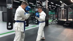 Рукопашный бой _ Ударная техника ногами