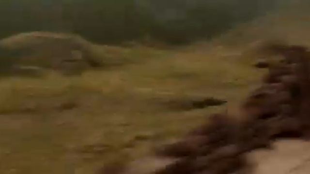 Анджелина Джоли нарезка