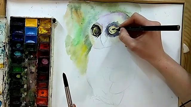 КАК НАРИСОВАТЬ СОВУ? смотреть онлайн