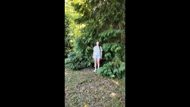 Загрязнение водоемов