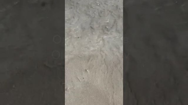 Мальдивы. Maldives. 马尔代夫。 смотреть онлайн