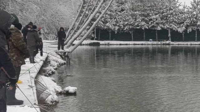 форель клюет смотреть онлайн