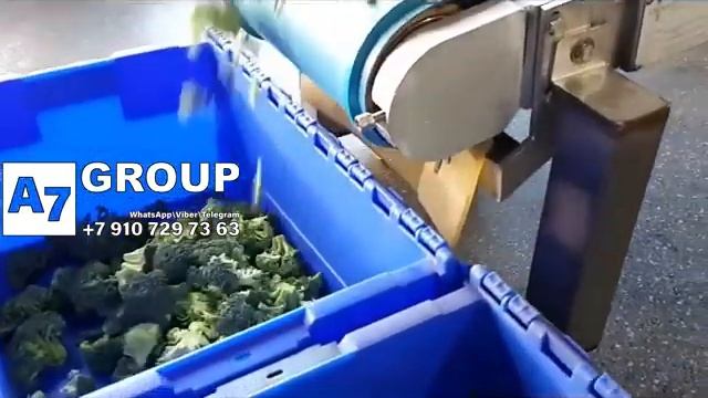 Брокколи: Машина для переработки брокколи #брокколи #резка