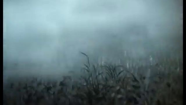 [Черный Лукич — Смешное Сердце Www.Mo] [1730706221] смотреть онлайн