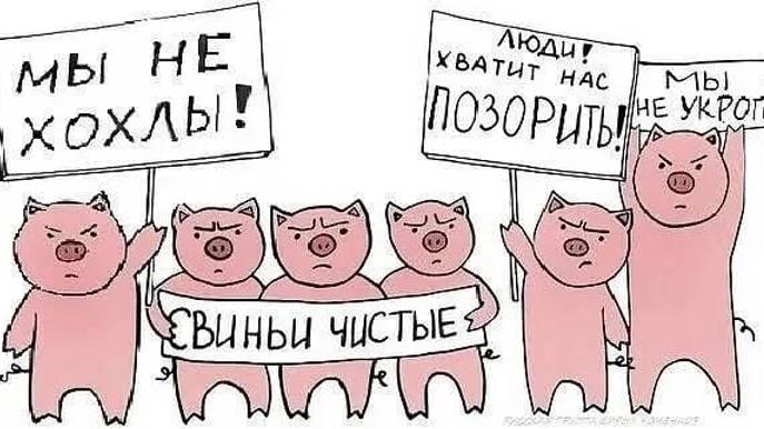 Украина не заграница. смотреть онлайн