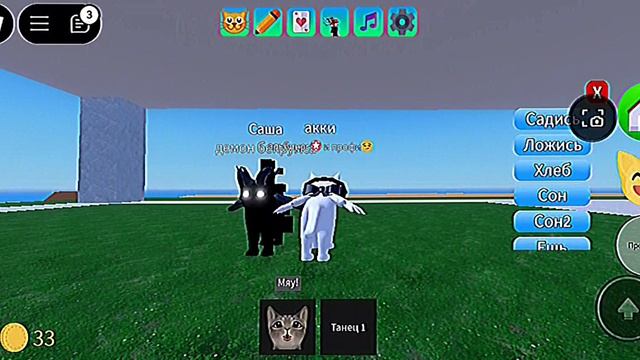 Акки и альбино