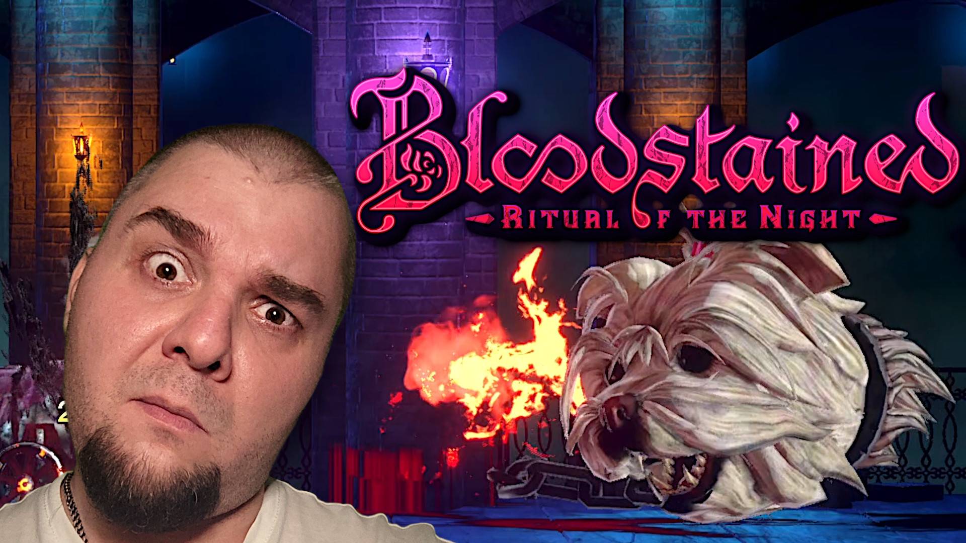 Чихуа-нихуа. ► Bloodstained: Ritual of the Night. #8