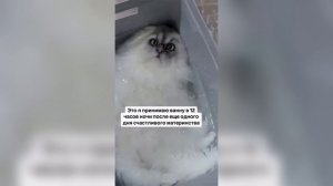 ПОДБОРКА ПРИКОЛОВ Я РЖАЛ ДО СЛЕЗ, ЛУЧШИЕ ПРИКОЛЫ 2026 СМЕШНЫЕ ВИДЕО, ДЕВУШКИ , ПОДБОРКА  ПРИКОЛОВ