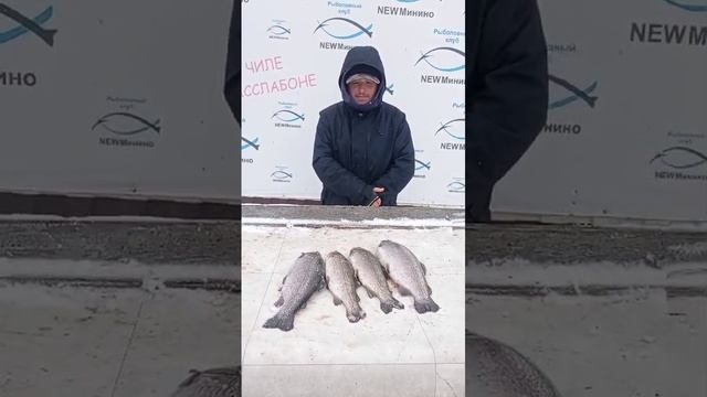 гость водоёма смотреть онлайн