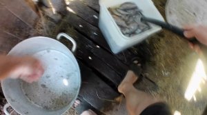 СУШКА СОЛКА РЫБЫ ОТ НАЧАЛО И ДО КОНЦА. Как вялим рыбу мы дома!