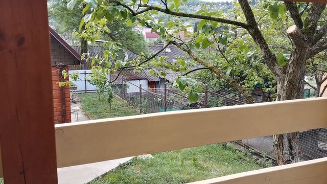 50+ Сочи. Горное Лоо. Утро. +18°C. 01. 05.2024г.© смотреть онлайн