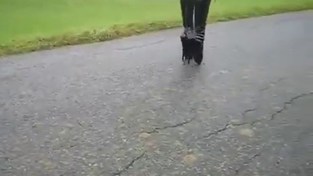 Купила дура сапоги!