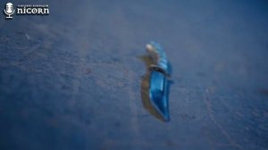 Моя сверхъестественная судьба 1 сезон 12 серия