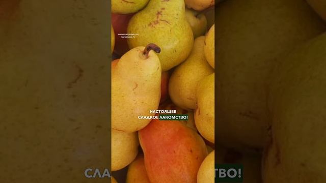 Самые сочные груши  - сразу две в комплекте!🍐🍐