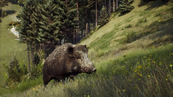 WAY of the HUNTER Путь охотника