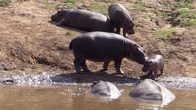 Power Up 1 Unit 6 смотреть онлайн